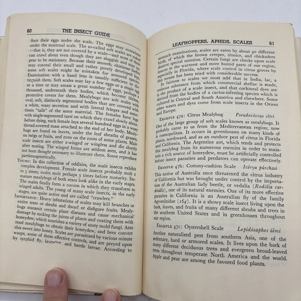 The Insect Guide by Ralph B Swain VTG 1948 Hardcover Dust Jacket Good Condition